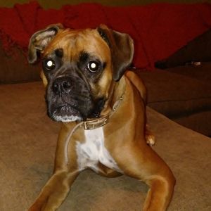 Meet your Posher, Nichole